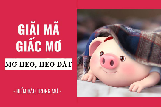 Số đề con heo số mấy?